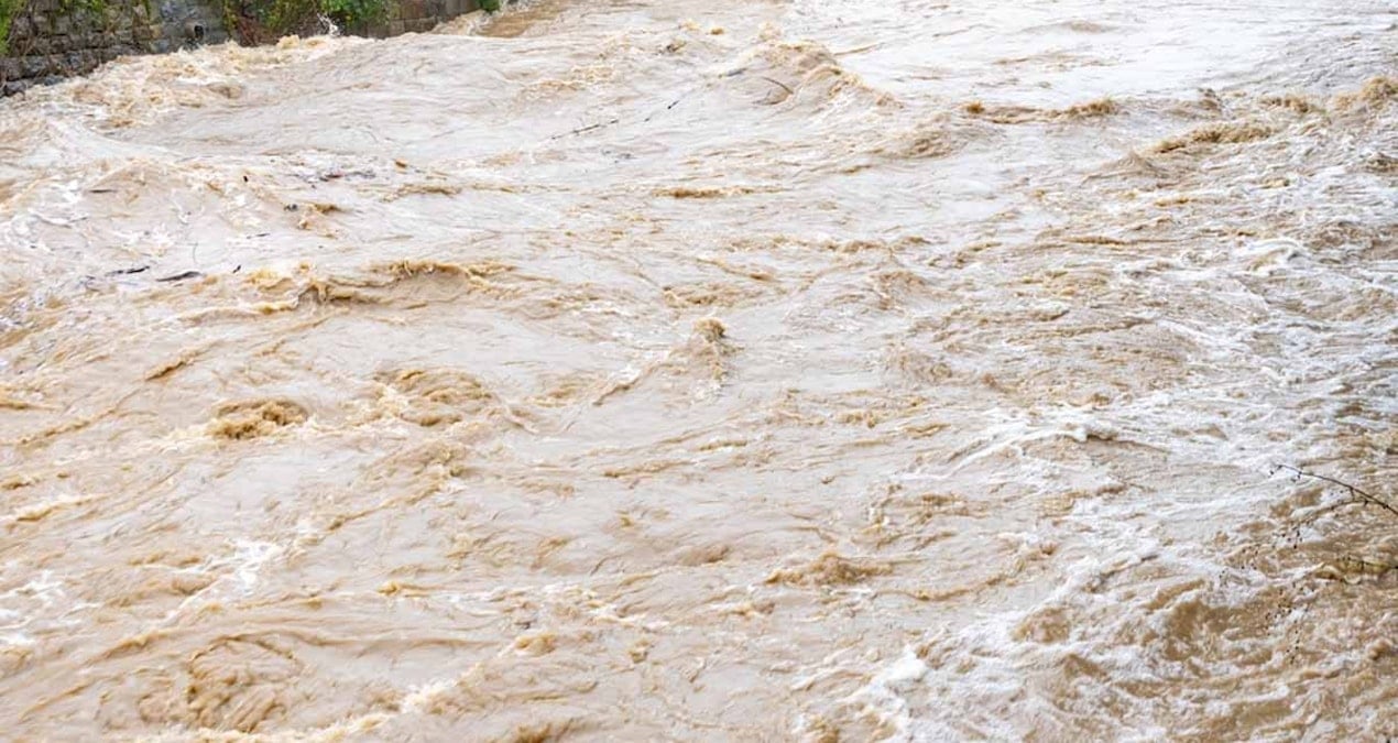 korkunc ve endise verici diyerek paylastilar 3 milyondan fazla insani sel vuracak sicakliga bagli olumleri 444 artacak SCZg2it6