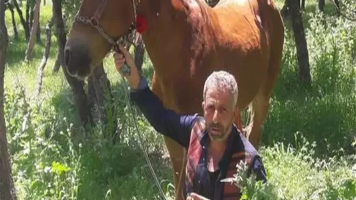 diyarbakirda babasini olduren saniga 15 yil verildi rjfXBxdi.jpg