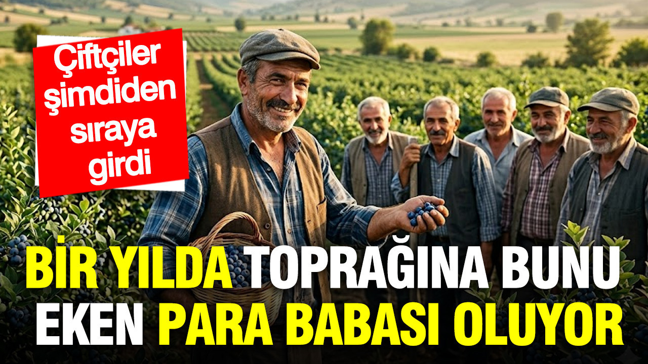 ciftciler-simdiden-siraya-girdi-bir-yilda-bunu-eken-para-babasi-oluyor-JFjxXnSk