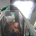 dso-ebola-icin-kuresel-acil-durum-ilan-etti-MQlelCHg