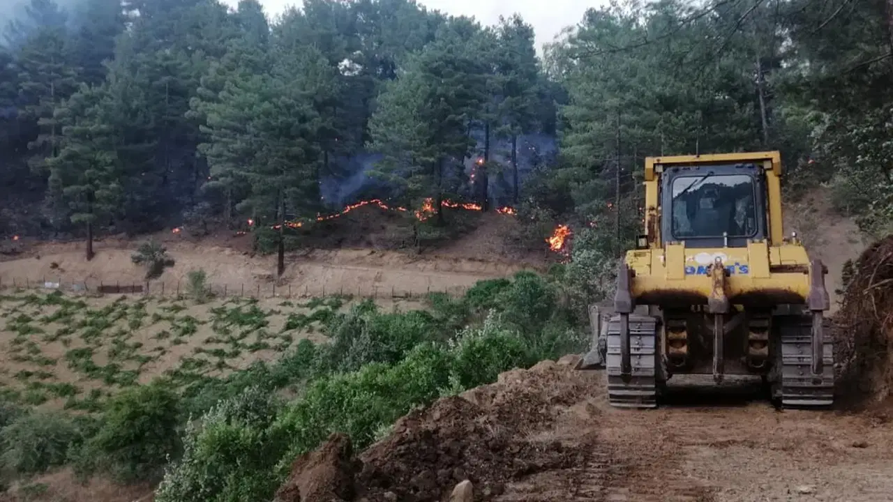 Kahramanmaraş’ta Şaka Yüzünden Çıkan Orman Yangınında Cezası Belli Oldu